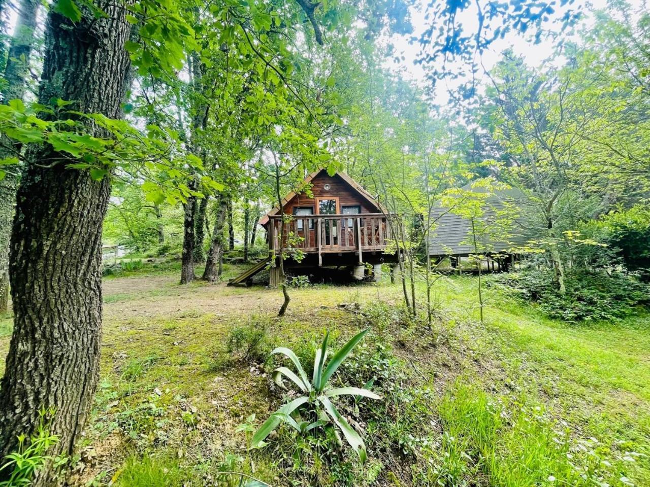 Flower Camping La Pibola Camon  Екстериор снимка